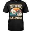 Cats Shirt - I Aksed God For A True Friend So He Gave Me A Balinese