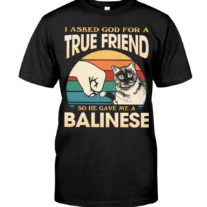 Cats Shirt - I Aksed God For A True Friend So He Gave Me A Balinese