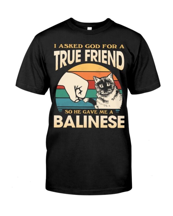 Cats Shirt - I Aksed God For A True Friend So He Gave Me A Balinese