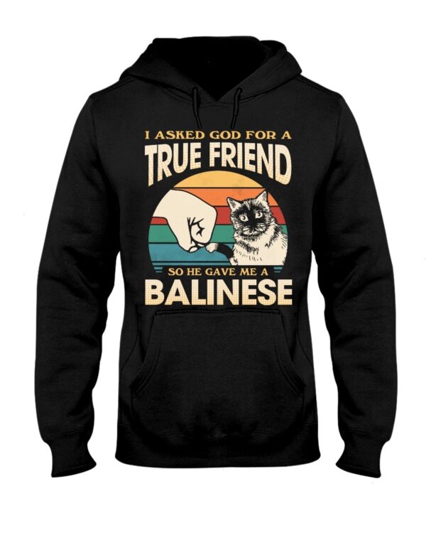 Cats Shirt - I Aksed God For A True Friend So He Gave Me A Balinese