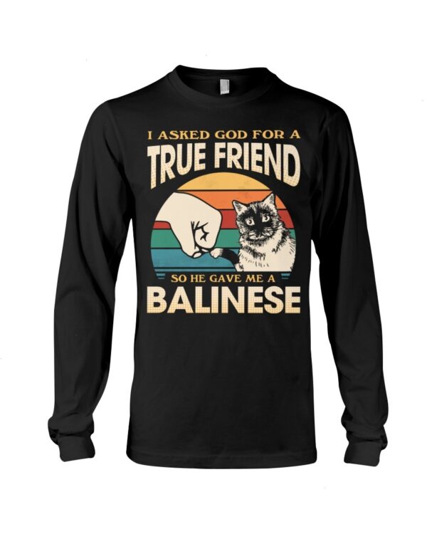 Cats Shirt - I Aksed God For A True Friend So He Gave Me A Balinese