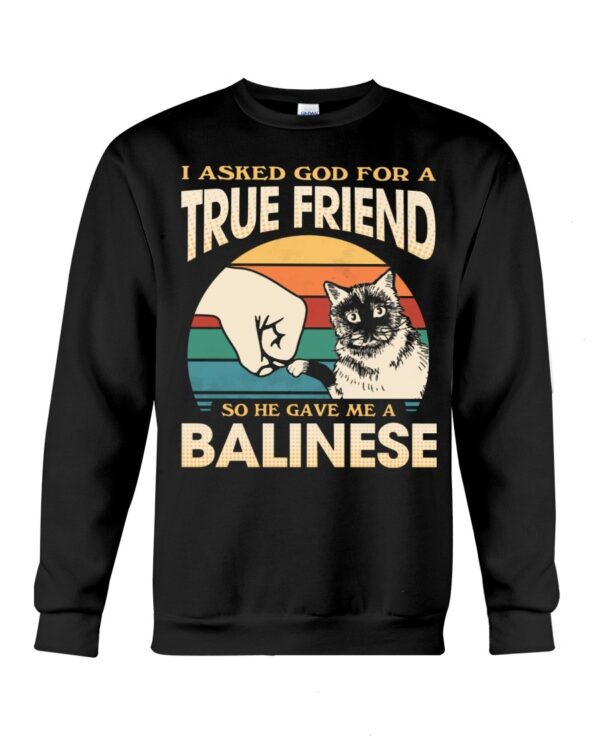Cats Shirt - I Aksed God For A True Friend So He Gave Me A Balinese
