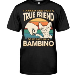Cats Shirt - I Aksed God For A True Friend So He Gave Me A Bambino
