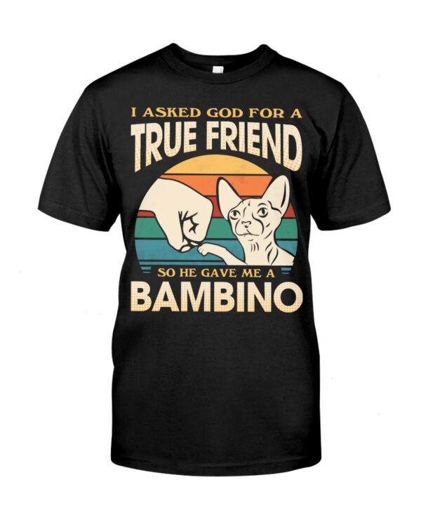 Cats Shirt - I Aksed God For A True Friend So He Gave Me A Bambino