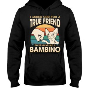 Cats Shirt - I Aksed God For A True Friend So He Gave Me A Bambino
