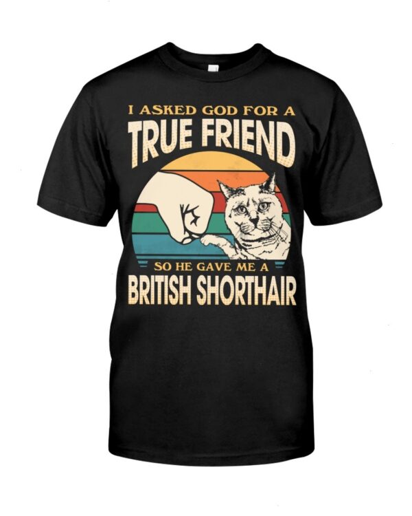 Cats Shirt - I Aksed God For A True Friend So He Gave Me A British Shorthair