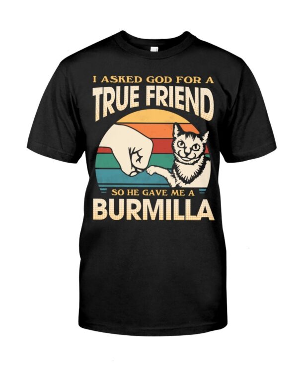 Cats Shirt - I Aksed God For A True Friend So He Gave Me A Burmilla