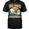 Cats Shirt - I Aksed God For A True Friend So He Gave Me A Chartreux