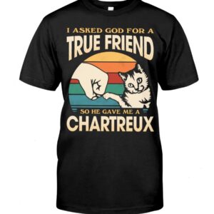 Cats Shirt - I Aksed God For A True Friend So He Gave Me A Chartreux