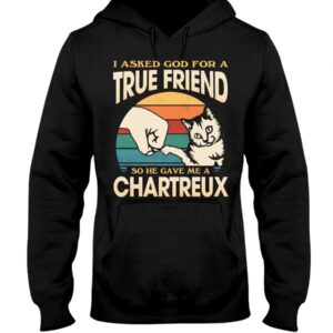 Cats Shirt - I Aksed God For A True Friend So He Gave Me A Chartreux