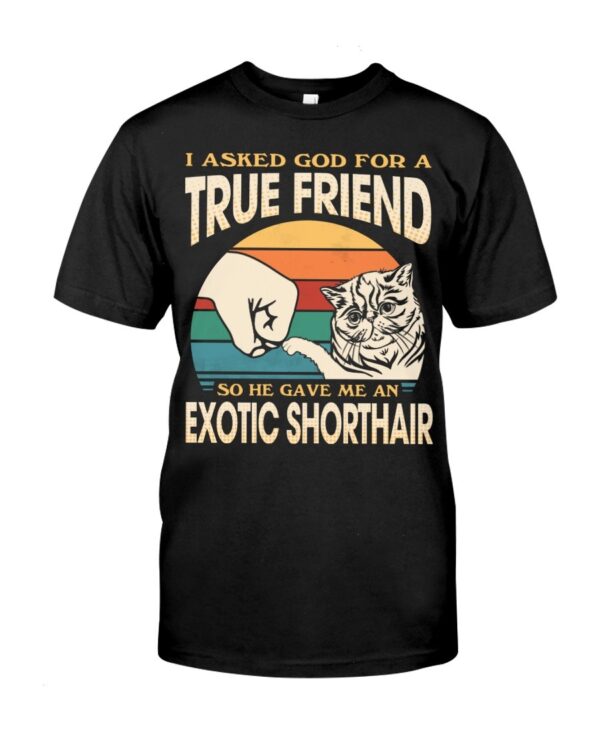 Cats Shirt - I Aksed God For A True Friend So He Gave Me A Exotic Shorthair