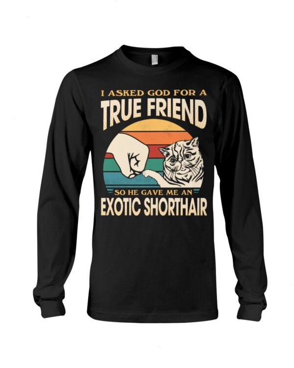 Cats Shirt - I Aksed God For A True Friend So He Gave Me A Exotic Shorthair