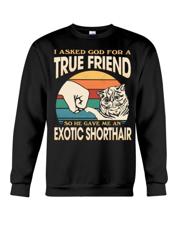 Cats Shirt - I Aksed God For A True Friend So He Gave Me A Exotic Shorthair