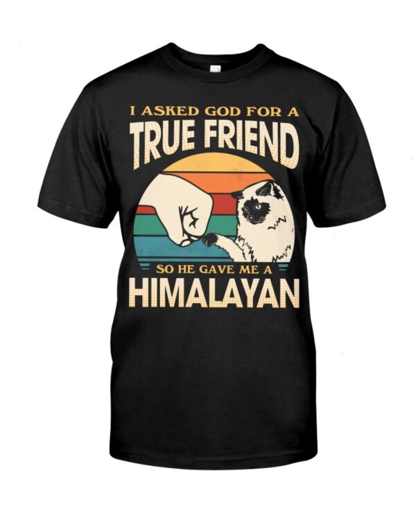 Cats Shirt - I Aksed God For A True Friend So He Gave Me A Himalayan