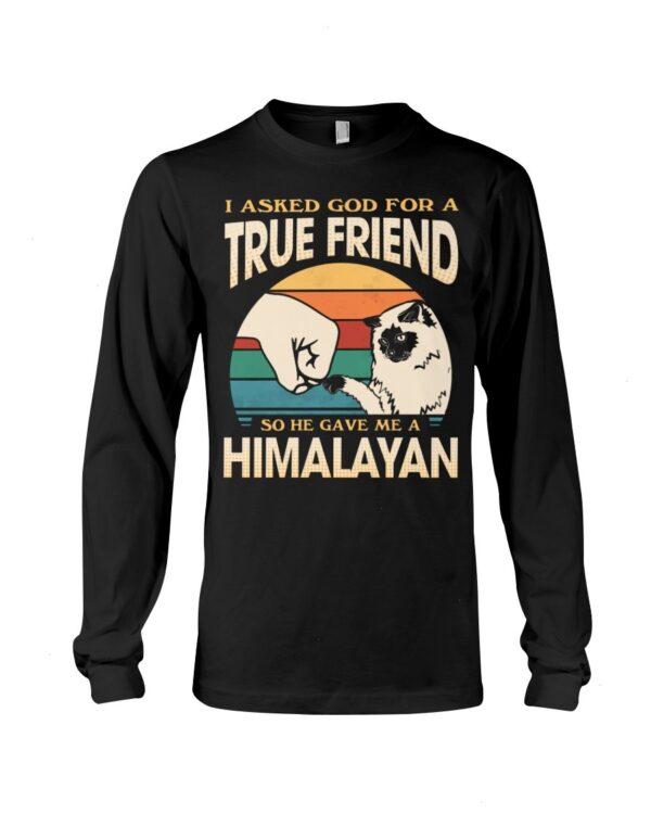 Cats Shirt - I Aksed God For A True Friend So He Gave Me A Himalayan