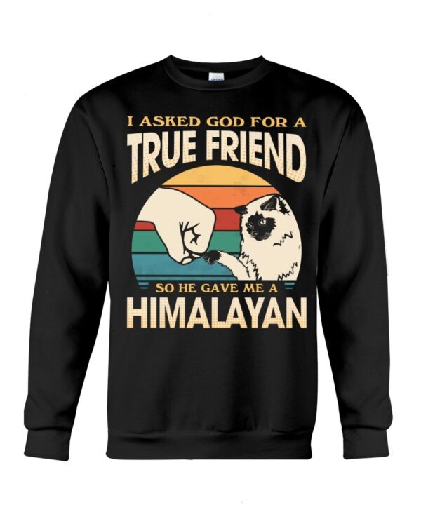 Cats Shirt - I Aksed God For A True Friend So He Gave Me A Himalayan