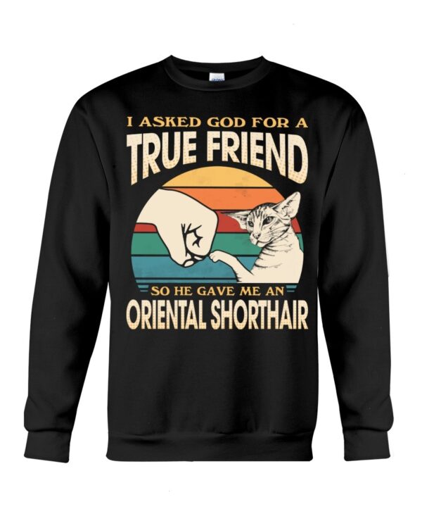 Cats Shirt - I Aksed God For A True Friend So He Gave Me A Oriental Shorthair