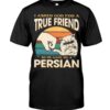 Cats Shirt - I Aksed God For A True Friend So He Gave Me A Persian