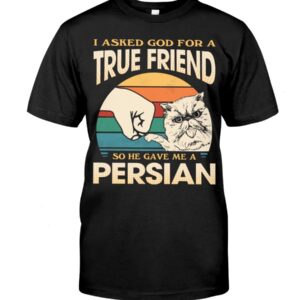 Cats Shirt - I Aksed God For A True Friend So He Gave Me A Persian