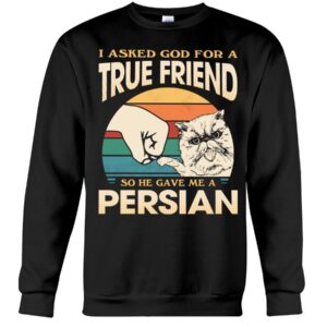 Cats Shirt - I Aksed God For A True Friend So He Gave Me A Persian