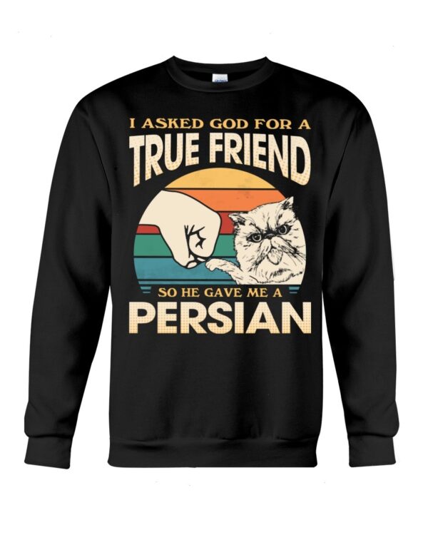 Cats Shirt - I Aksed God For A True Friend So He Gave Me A Persian
